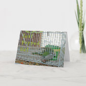 飛び出られる カード (正面)