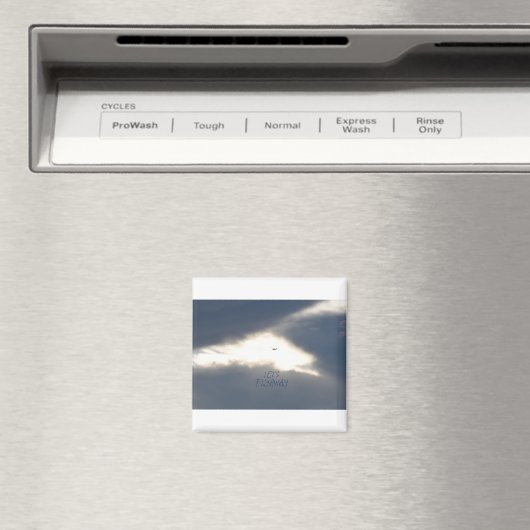 飛び去ろう マグネット (インサイチュ (食洗機))