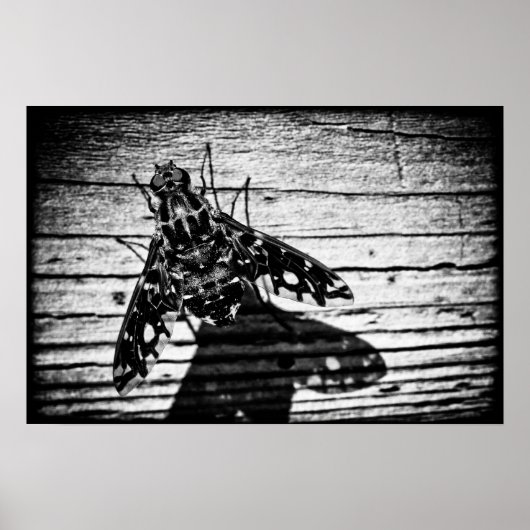 飛び戻る ポスター (正面)