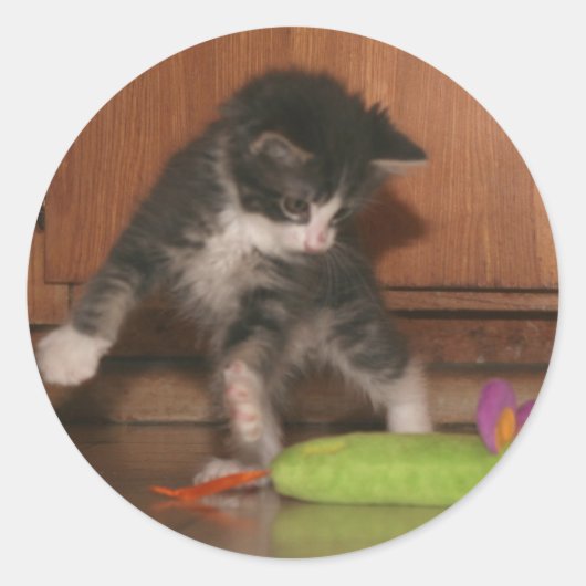 飛び攻撃 ラウンドシール (正面)