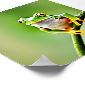 飛び跳ねるカエル ポスター (角)