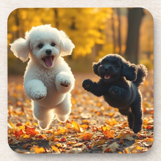飛び跳ねるプードルの子犬たち コースター (正面)