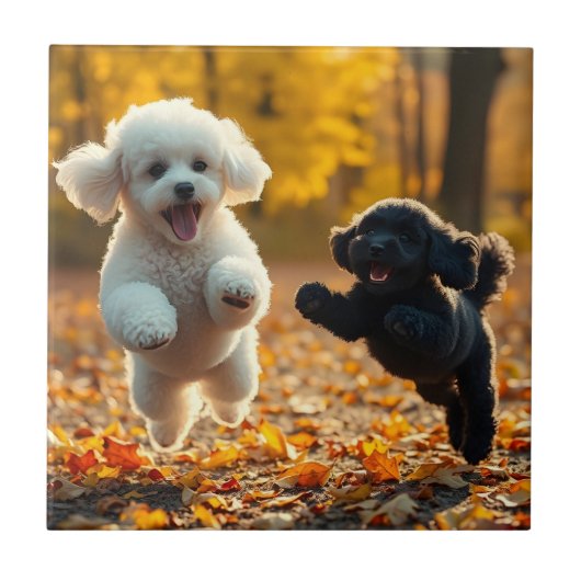 飛び跳ねるプードルの子犬たち タイル (正面)