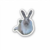 飛び跳ねる水田 シール (正面)