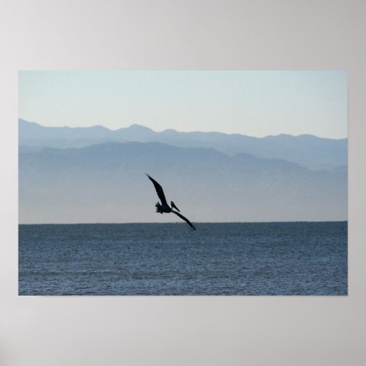 飛び込むペリカン ポスター (正面)