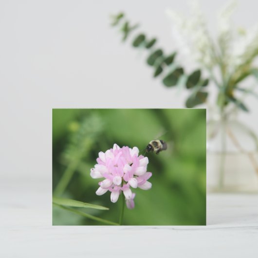 飛び込む ポストカード (スタンド正面)