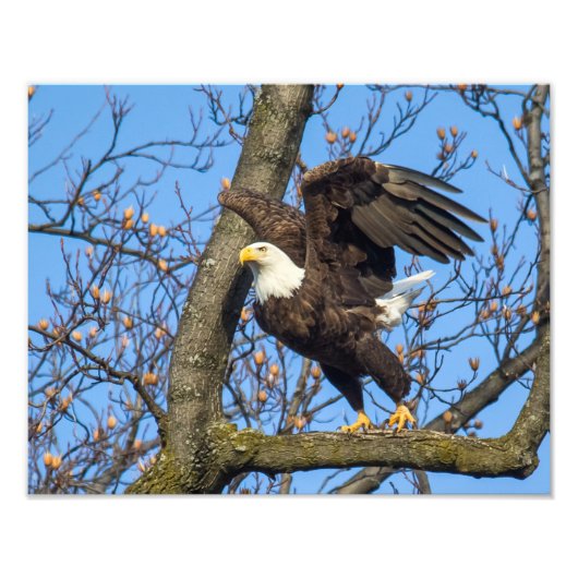飛び降りる フォトプリント            (正面)