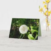 飛ぶこと準備ができた種 カード (黄色い花)