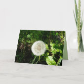 飛ぶこと準備ができた種 カード (正面)