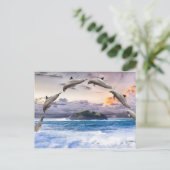 飛ぶイルカ ポストカード (スタンド正面)