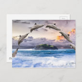 飛ぶイルカ ポストカード (正面/裏面)