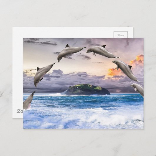 飛ぶイルカ ポストカード (正面/裏面)