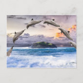 飛ぶイルカ ポストカード (正面)