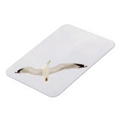 飛ぶガル マグネット (左側)