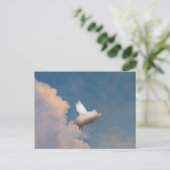 飛ぶ豚のポストカード ポストカード (スタンド正面)