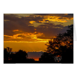 飛ぶ鳥との鮮やかな日没