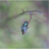 飛ぶ シール (正面)