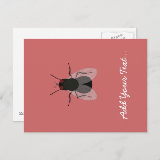 飛ぶ ポストカード (正面/裏面)