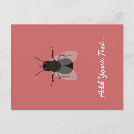 飛ぶ ポストカード (正面)