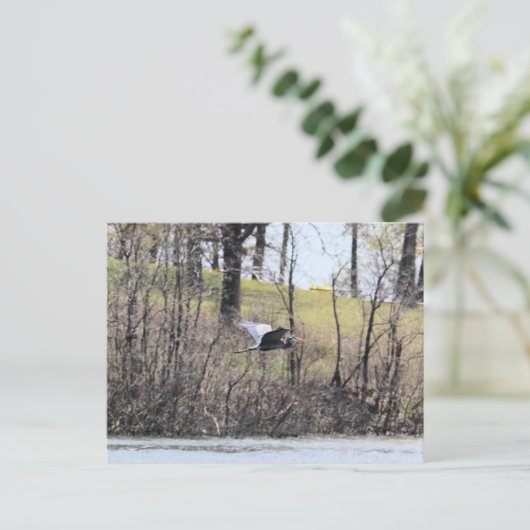 飛ぶ ポストカード (スタンド正面)