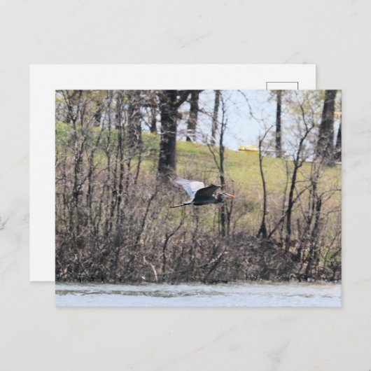 飛ぶ ポストカード (正面/裏面)