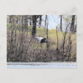 飛ぶ ポストカード (正面)