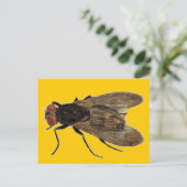 飛ぶ ポストカード (スタンド正面)