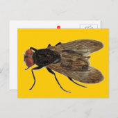 飛ぶ ポストカード (正面/裏面)