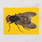 飛ぶ ポストカード (正面)