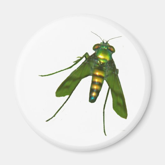 飛ぶ マグネット (正面)