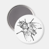 飛ぶ マグネット (正面/裏面)