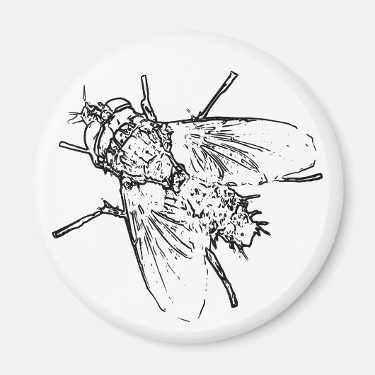 飛ぶ マグネット (正面)