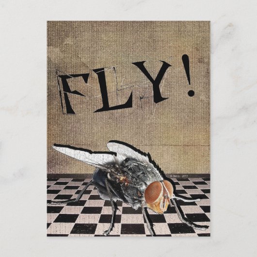 飛べ！飛べ！飛べ！ ポストカード (正面)