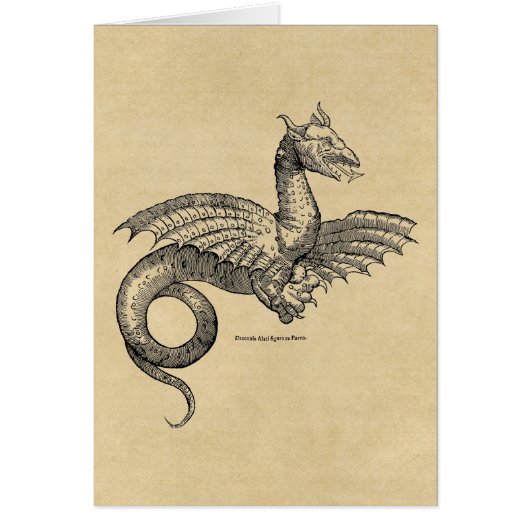 飛んだドラゴン (正面)