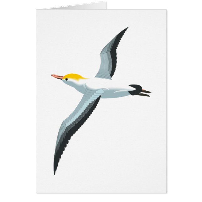 飛んでいるなカモメ (正面)