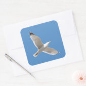 飛んでいるなカモメ スクエアシール (封筒)