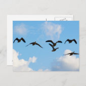 飛んでいるなガチョウの郵便はがき ポストカード (正面/裏面)