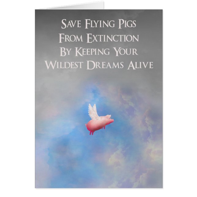 飛んでいるなブタを救って下さい (正面)