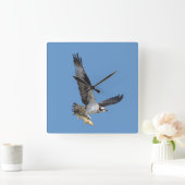 飛んでいるなミサゴ及び魚の野性生物の写真撮影 スクエア壁時計 (ホーム)