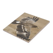 飛んでいるなワシの鳥のタイル タイル (側面)