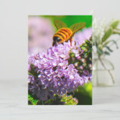 飛んでいるな蜂5 x 7表現または挨拶状 サンキューカード (スタンド正面)