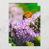 飛んでいるな蜂5 x 7表現または挨拶状 サンキューカード (正面/裏面)