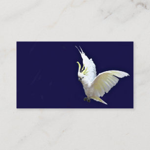 飛んでいるなcockatielの名刺 名刺