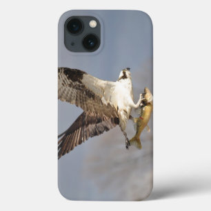 飛んでいるオスプレイと魚5野生動物写真 iPhone 13ケース