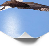 飛んでいるガチョウ フォトプリント            (角)