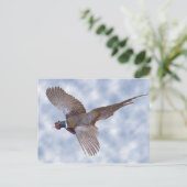 飛んでいるキジ ポストカード (スタンド正面)