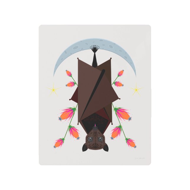 飛んでいるキツネ8x10金属プリント メタルプリント (正面)