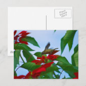 飛んでいるハミングバード ポストカード (正面/裏面)