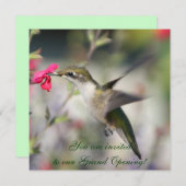 飛んでいるハミングバード 招待状 (正面/裏面)