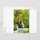 飛んでいるリス ポストカード (正面/裏面)